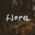 Purchase Flora Mp3