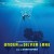 Purchase Under The Silver Lake (Original Motion Picture Soundtrack)