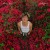 Purchase Wildflower (CDS) Mp3