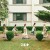 Purchase I'll Like You (EP) Mp3