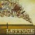Buy Lettuce 