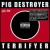 Buy Pig Destroyer 