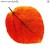 Buy Seasons (Vinyl)
