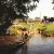 Purchase Stepping Stones Mp3