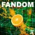 Purchase Fandom Mp3