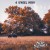 Buy 4 Wheel High (EP)