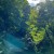 Buy The Ancient Forest IV