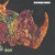 Buy Rhinoceros (Vinyl)
