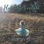 Buy Heavenly Sunlight (EP)