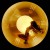 Purchase Endless Night Mp3