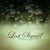 Purchase Clover (CDS) Mp3