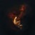 Purchase Nereïd Mp3