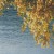 Purchase How To Transform Into Complete & Total Silence Mp3