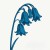 Buy The Bluebells 