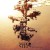 Purchase Surface/Light Mp3