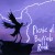 Purchase Picnic At Buffalo Rock Mp3