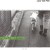 Purchase In Harmony Mp3