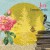 Purchase Joy Mp3