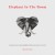 Purchase Elephant In The Room (EP) Mp3