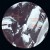 Buy River Red Gum (EP)