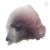 Purchase Resurgam I, Resurgam II Mp3