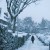 Buy Thief Of Snow (Feat. Theo Travis)