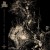 Purchase Profanation Of The Adamic Covenant Mp3