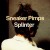 Purchase Splinter Mp3