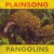 Purchase Pangolins Mp3