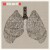 Purchase Collapsible Lung (Bonus Track Version) Mp3