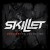 Buy Skillet 