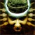 Purchase Spirals Mp3
