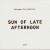 Buy Sun Of Late Afternoon