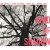 Purchase Kind Of Shadow (With Artur Majewski, Barry Guy & Ramon Lopez) Mp3
