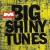 Purchase Big Shiny Tunes Mp3
