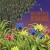 Purchase Nightfall In Paradise Mp3
