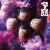 Buy マ人間 (EP)