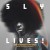 Buy Sly & The Family Stone 