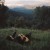 Purchase Burning Daylight (EP) Mp3