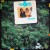 Buy Rain Forest (With Eddie Gomez) (Vinyl)