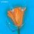 Purchase Uneasy Laughter Mp3