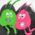 Purchase Bingo Paradis Mp3