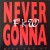 Purchase Never Gonna Give You Up (Single) Mp3