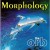 Buy Morphology