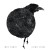 Purchase Surface Tension Mp3