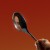 Purchase The Spoon Mp3