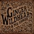 Purchase Ginger Wildheart & The Sinners Mp3