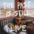 Purchase The Past Is Still Alive Mp3