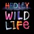 Purchase Wild Life (Deluxe Edition) Mp3