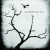 Buy The Airborne Toxic Event (Special Edition)